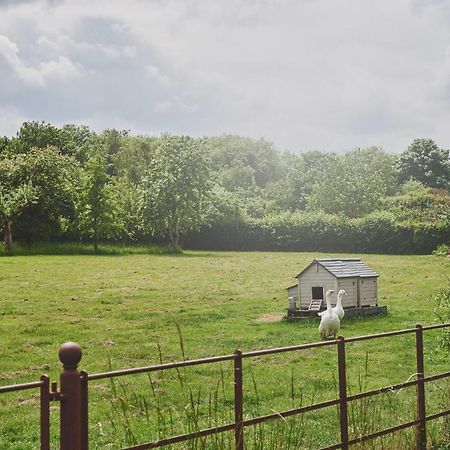 Apple Tree Cottage Beckford Екстериор снимка