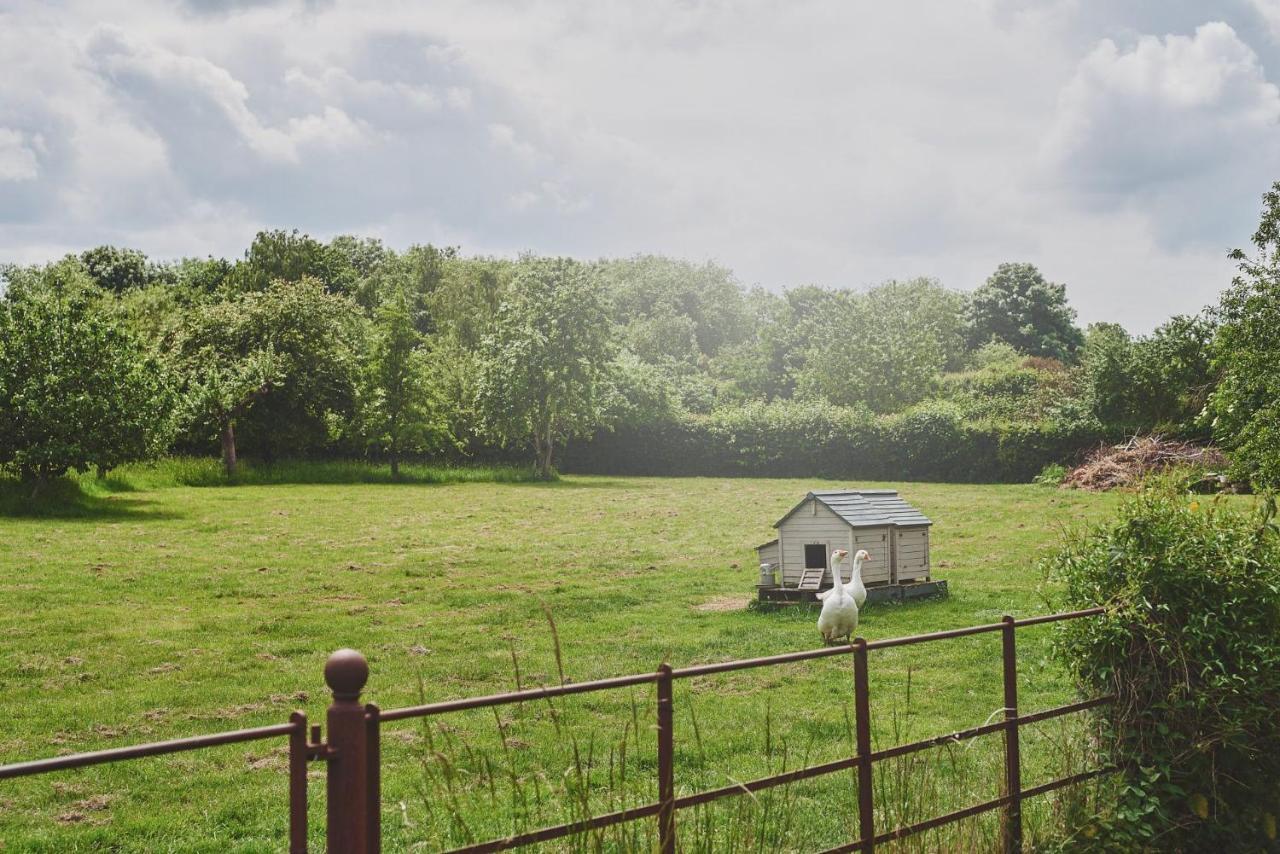 Apple Tree Cottage Beckford Екстериор снимка